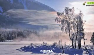 新疆阿勒泰下雪了 新疆阿勒泰下雪了
