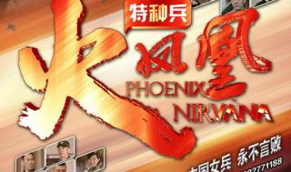 特种兵之火凤凰何晨光哪去了 特种兵之火凤凰吧
