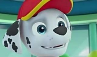 汪汪队歌谁唱的 汪汪队立大功片头曲