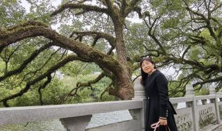 潮州凤凰山自驾游攻略 潮汕自由行旅游攻略