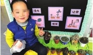 谢师礼为什么送五花肉 扛2条五花肉送老师