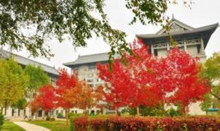 黑龙江旅游职业学院 黑龙江旅游职业学院