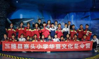 华夏艺术中心怎么进去 深圳华夏艺术中心