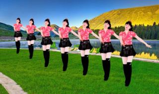 酒醉的蝴蝶广场舞32步 酒醉的蝴蝶广场舞32步