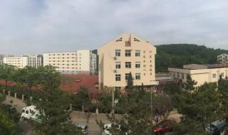 剑桥少儿英语证书有用吗 深圳少儿英语培训