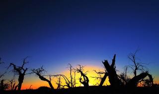 问天实验舱的发射成功是什么时间 数万人看问天发射