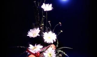 人多的时候守住嘴人少的时候守住心什么意思 守住一颗宁静的心