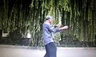 陈式太极拳小架一路