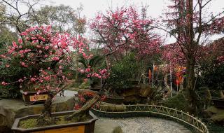 武侯祠三义庙 武侯祠三义庙