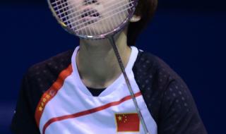 2018羽毛球亚锦赛介绍 2016羽毛球亚锦赛介绍